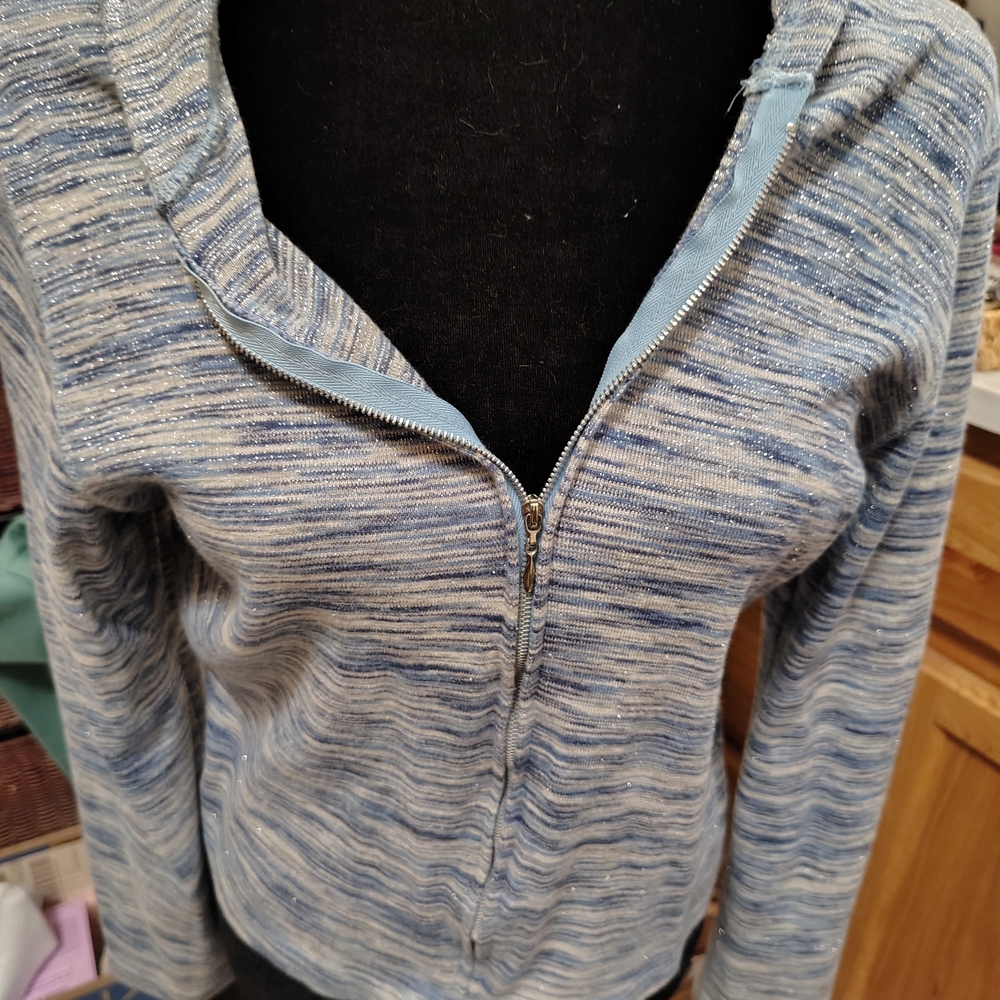 Vintage Y2K 90s Free People Blue Sparkle Striped Space Dye Zip-Up Hoodie/SZ XL